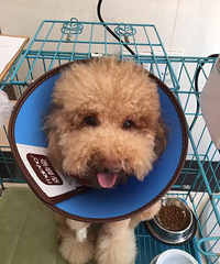 Ѱ�Ҷ�ʧ�Ĺ���-�ٺ�������ʧ��