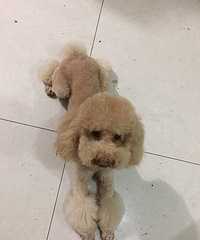 Ѱ�Ҷ�ʧ�Ĺ���-�ٺ�������ʧ��