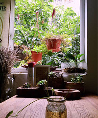 ��̶������