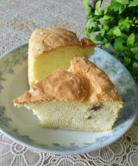 �������Ѹ��ݷ絰��