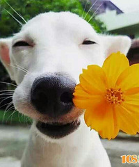 82�꺼���������ٺ���һ��ܶ�