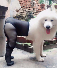 ���˸��Լ�����Ħ����˿��֮�󡣡�����Ҳ̫