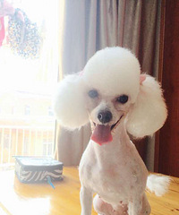 �Ҽҹ����߶��ˣ����п���������л