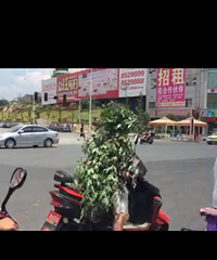 �ڻ��ĺܺð�