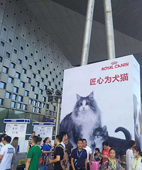 ���������ҹ����޳���չ~