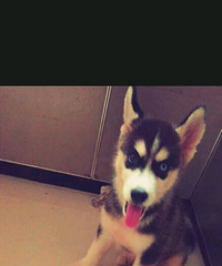 ���ҼҶ���ү������ô��Ŀ���