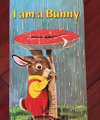 ���汾��5�ڡ���i am a bunny��