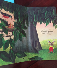 ���汾��5�ڡ���i am a bunny��