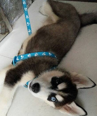 ����ү��Ȼ�������Դ�������Ĺ��� �� ��