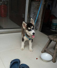 ����ү��Ȼ�������Դ�������Ĺ��� �� ��