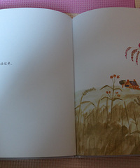 ���汾��5�ڡ�����100��ε�è