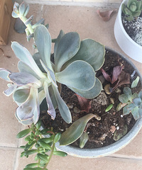 �������ˣ���ȴ����