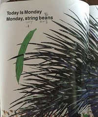 ���汾��5�ڡ�today is Monday