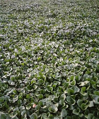 �������ġ��̻���