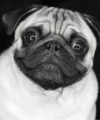 ���ʴ����������ﹷ�á�