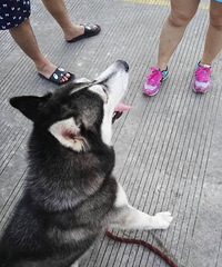 �񻷸�������û��ĸ�Ĺ�ʿ�棬�Ҽҹ�����