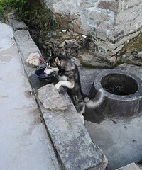 �񻷸�������û��ĸ�Ĺ�ʿ�棬�Ҽҹ�����