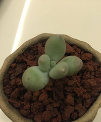 ���ҵĶ��⡿