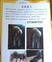 Ѱ�Ҽ��ˣ�Ѱ�Ұ�ඹ�