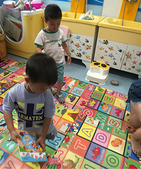 ���������ץס�����β�������Ķ���