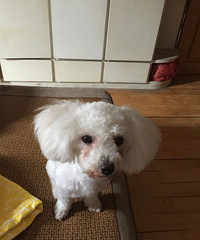 �������ˡ�������һ�ں���