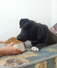 �������ˡ��������