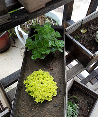 ���ֵĶ���