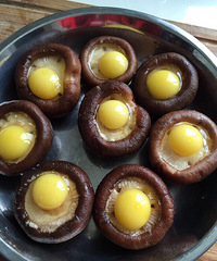 �㹽���ȵ� һ���ɺ�