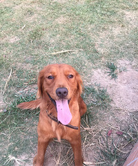 ������ 2���ë ��Ҫ�������һ�� ����