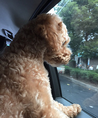 ���ڴ���̨�������ܴ�������ͳ��������