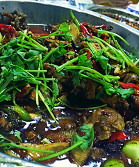 �ٽ���Ůʳ��֮һ���Ҿͳ�һ��