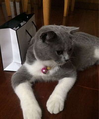 ����˧��������