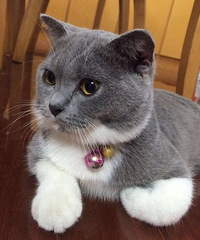 ����˧��������