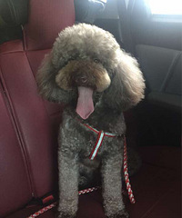 Ѱ�Ұ�ඹ����ػ�ɫ�����Ȯ