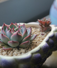 �ҵĶ��⣬Խ��Խ������