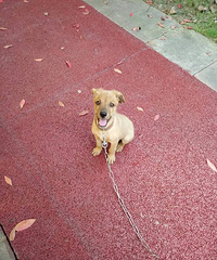 �ҵĶ�಻���ˣ������İ���ϣ������������