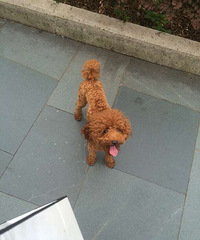 ������������������ߣ���һȦ������