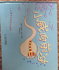 ���汾�����ڡ���С����ǰ�塷