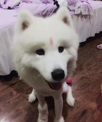 Ѱ����ʾ
