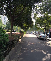 ���ֵ���Ⱥ��ӵ�µĳ�����������ϰ����ȷ