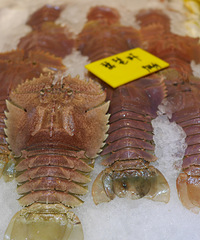 רҵ��Ƶ��������ǲ�һ��