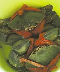 [��ͼ]���ŵĴ���з��ˢ�¼�¼�� ��1.4����