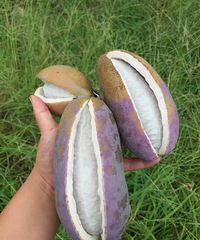 ����ʲôˮ��