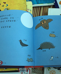 ���汾��5�ڡ����ĺͿ��µĹ���