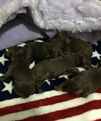 ���ۣ��Լ����Ĺ��������2��2ĸ������9��3��