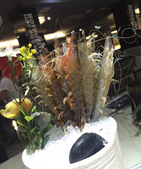 �ٽ���Ůʳ��֮���鱥����