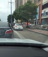 ��ץһֻ���