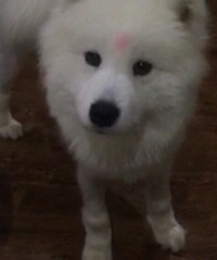 9��7���賿���ĵ��ڻ��һ�ͥ����Ƶ긽��