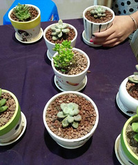 ����ɹ�������Ļ��Ķ���