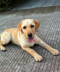 ����������ˮ������һ�θ�����